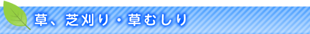 草、芝刈り・草むしり